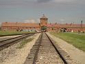 in Auschwitz-Birkenau (16)